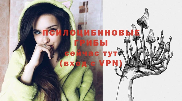 метадон Алексеевка