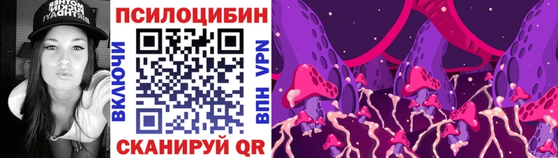 как найти наркотики  даркнет клад  Галлюциногенные грибы Psilocybine cubensis  Котовск 