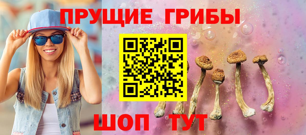 Котовск  Галлюциногенные грибы Psilocybine cubensis  Вход с VPN  Галлюциногенные грибы MAGIC MUSHROOMS 
